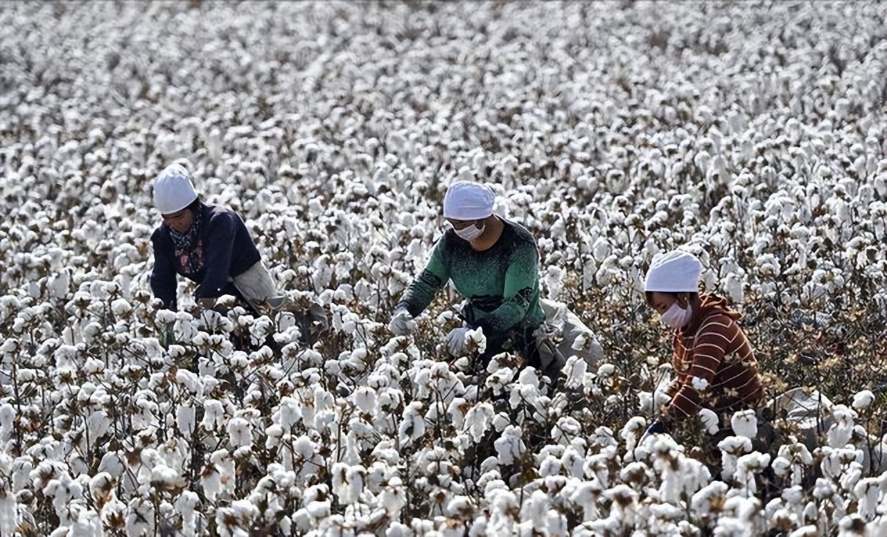 暴跌8000个亿，仓库堆积如山！爆火的耐克，被国内消费者抛弃？