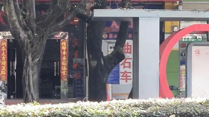 十一月云南旅游攻略腾冲 (从云南腾冲看云南旅游攻略)