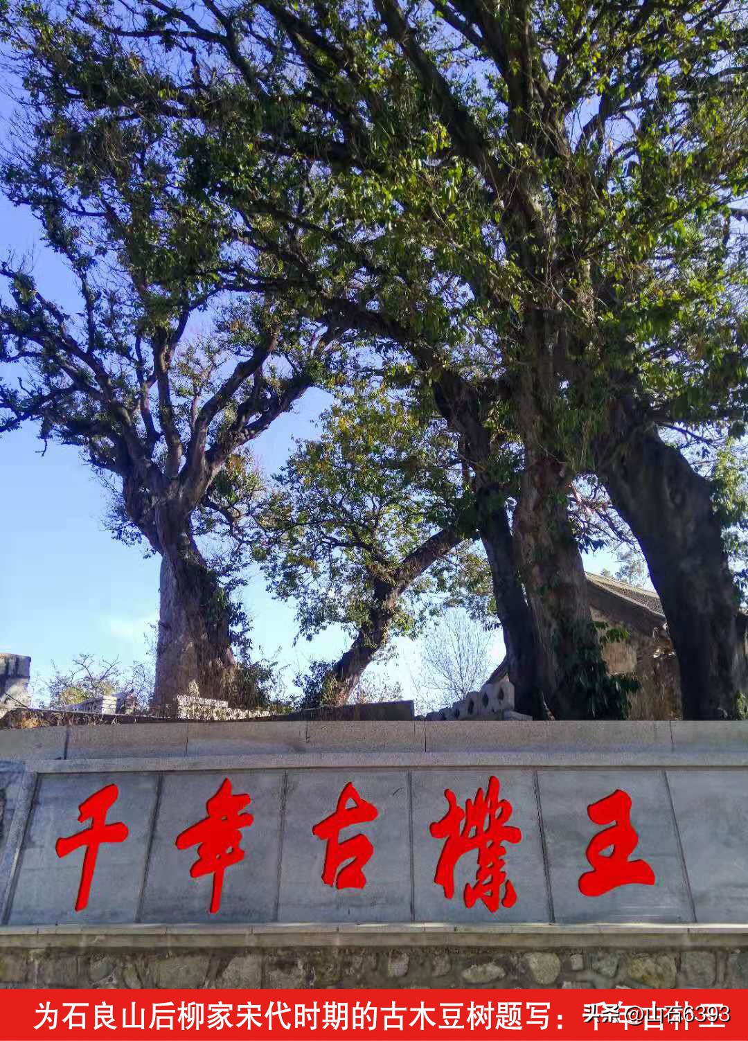 杨德富书法字画作品,杨德富书法家简介