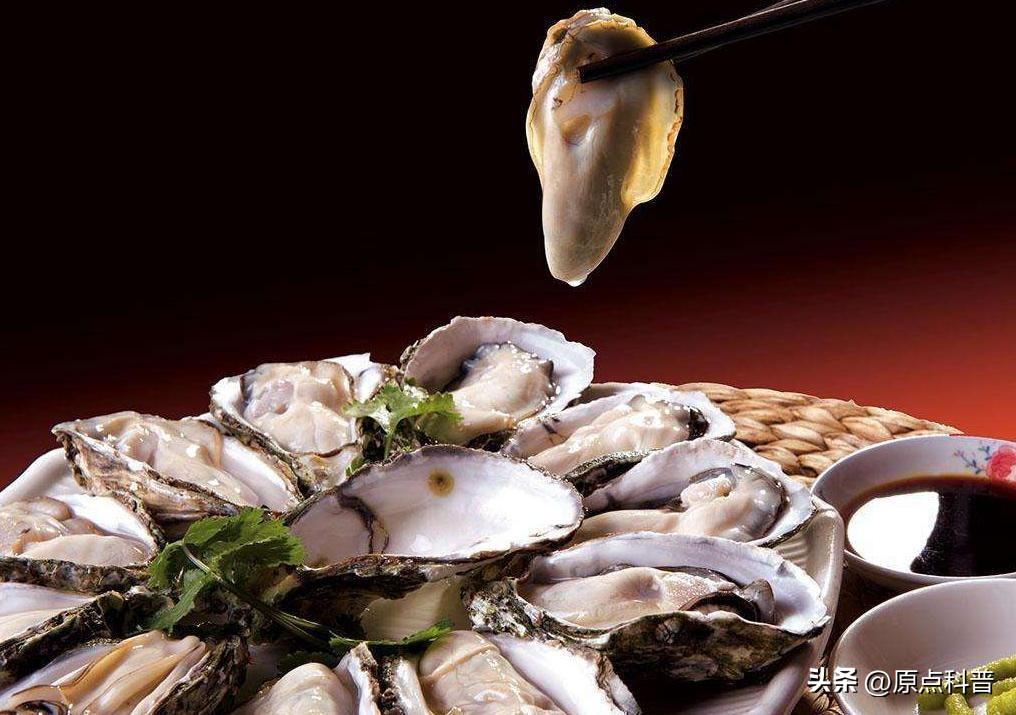 世界上最贵的海鲜十大排名,世界十大名贵海鲜