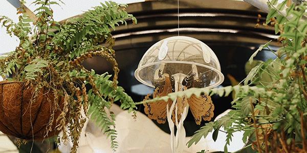 “面包脑袋的天堂，藏在东山口博物馆里”