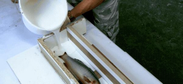 假食品模型视频,这些假食物都是人工合成的