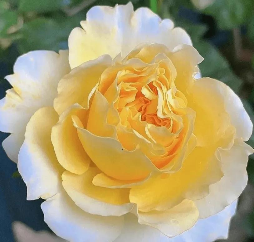 头条新手创作注意事项,头条创作注意哪些事项