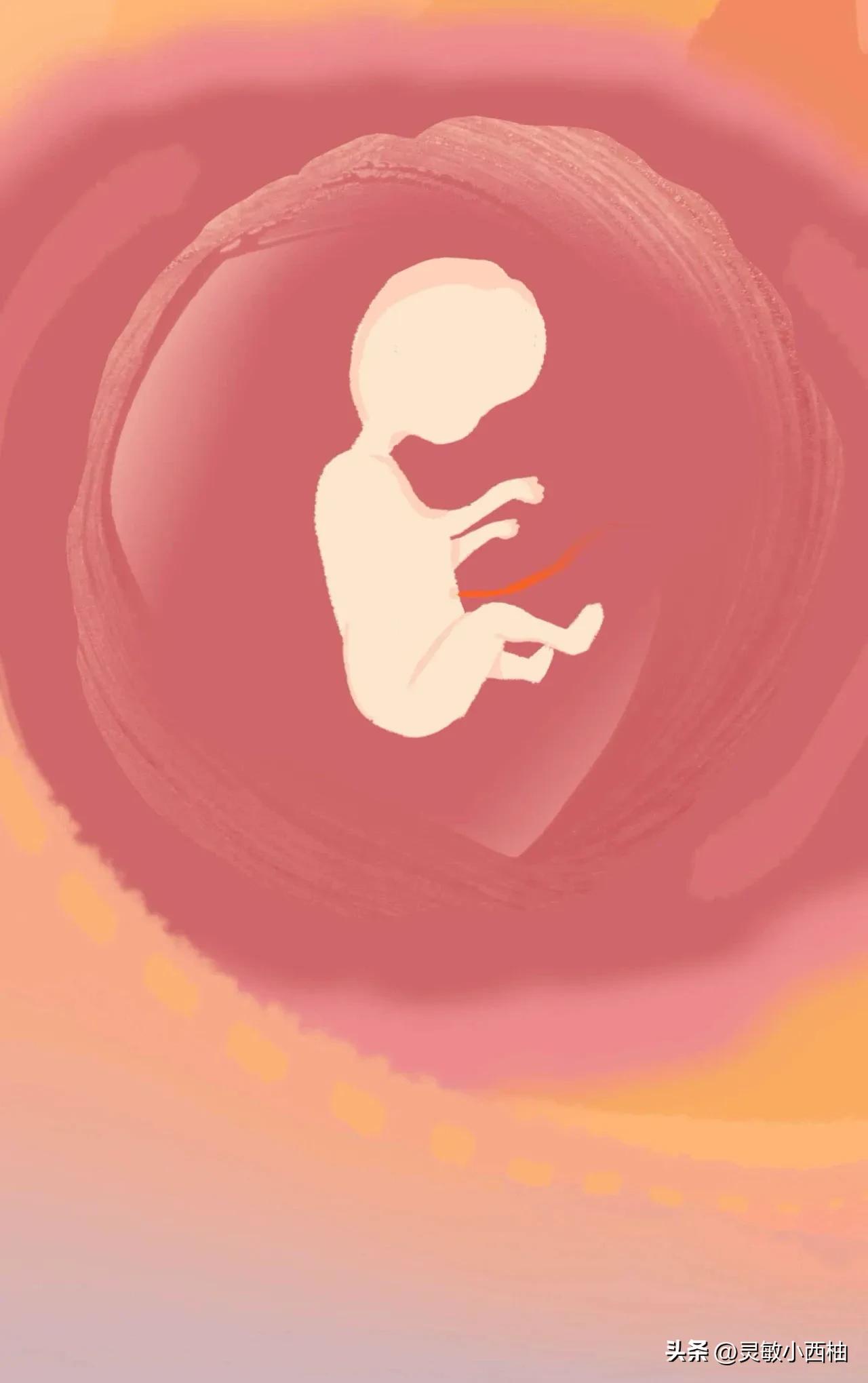 这就是精子进入女性体内的全过程，太神奇了！（漫画）