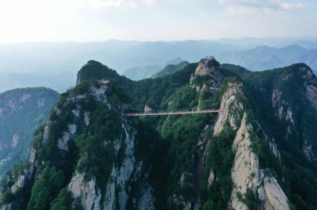 半价门票,景区免票半价