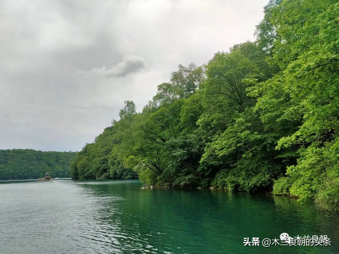 市长热线接线员王小呆