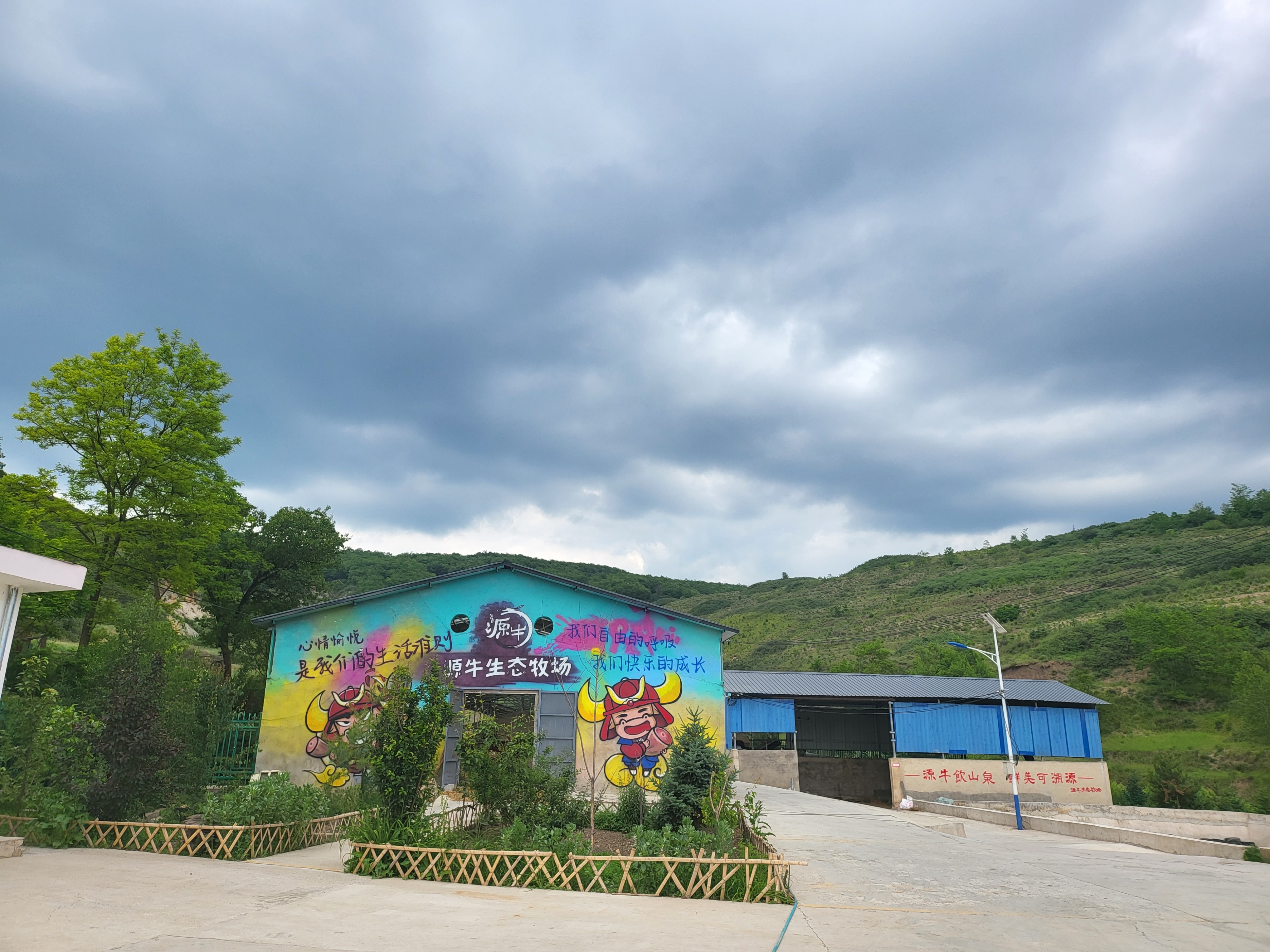 企业简介是不是公司简介,泾源黄牛肉和其他牛肉的区别