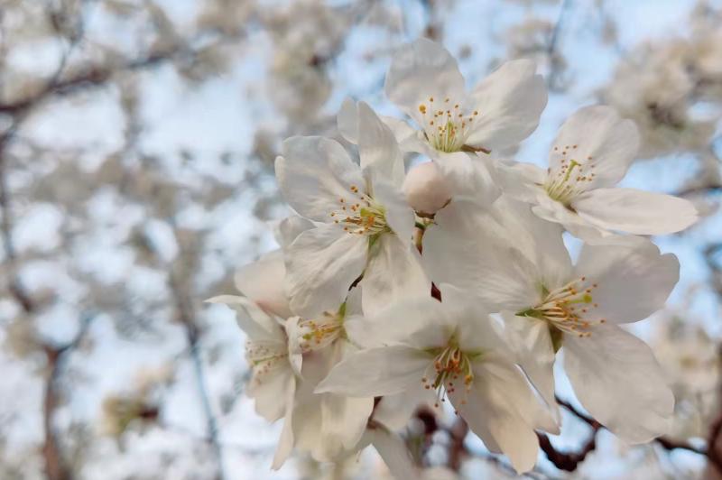 怎么应付控制欲强的人,控制欲强的人心理分析