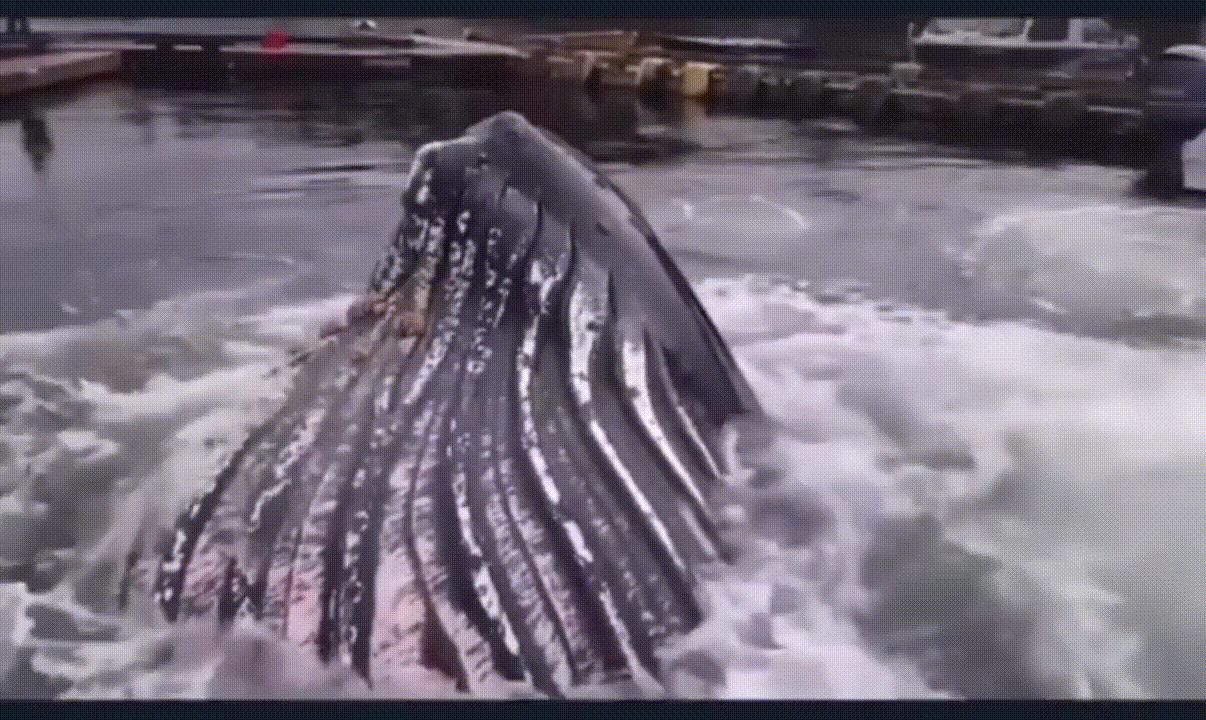 炎炎夏日给您带来视觉上的凉爽,发几张夏天炎热的图片