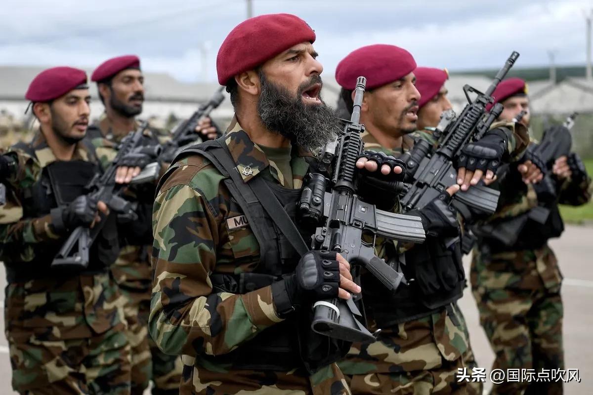 巴基斯坦军事实力和战争,巴基斯坦的军事能力