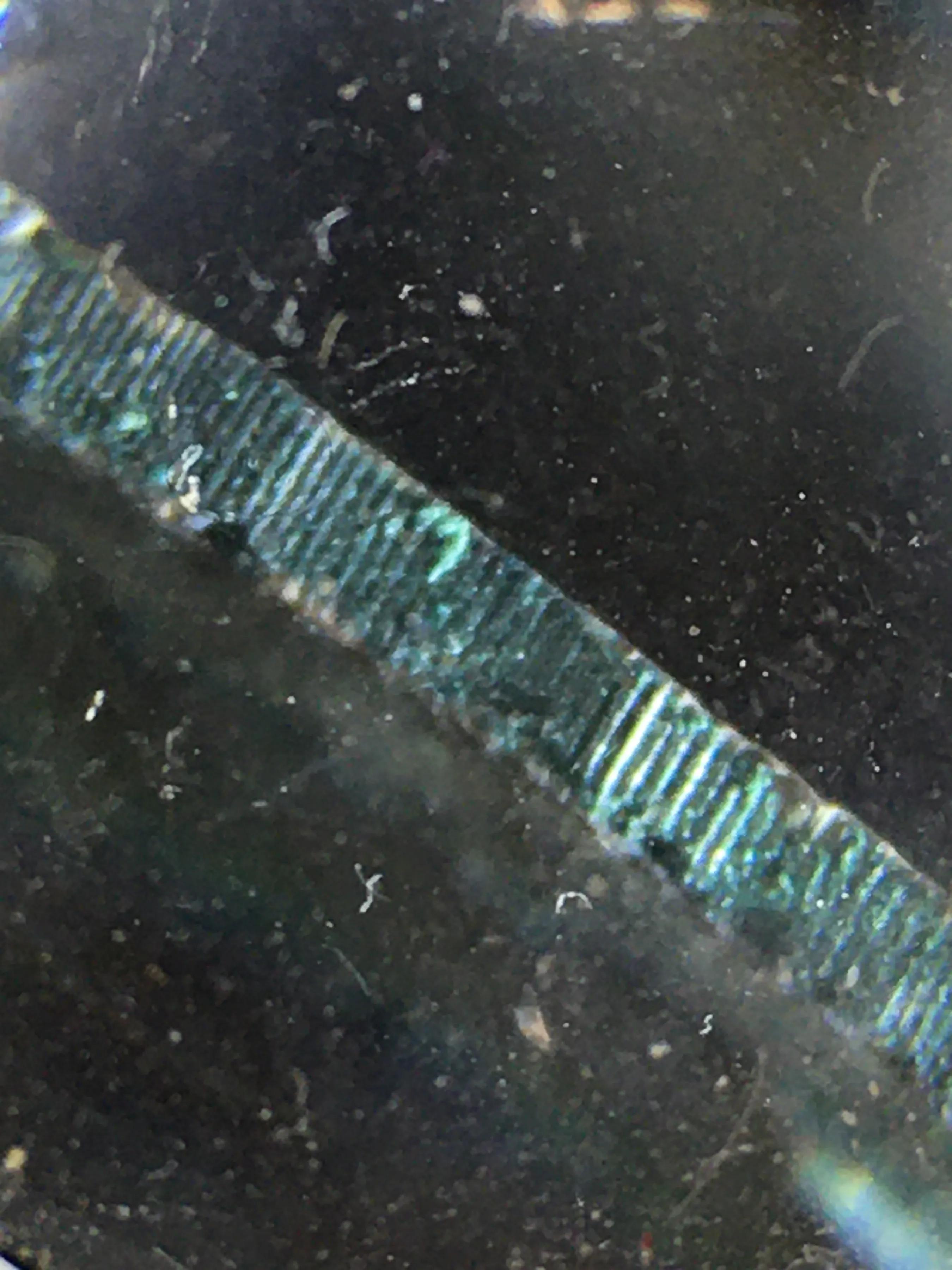 十大古钱币鉴定机构,古钱币鉴定师怎么考