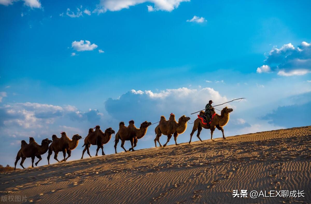 怎么看子女和父母是否相克,和父母相克的子女如何相处