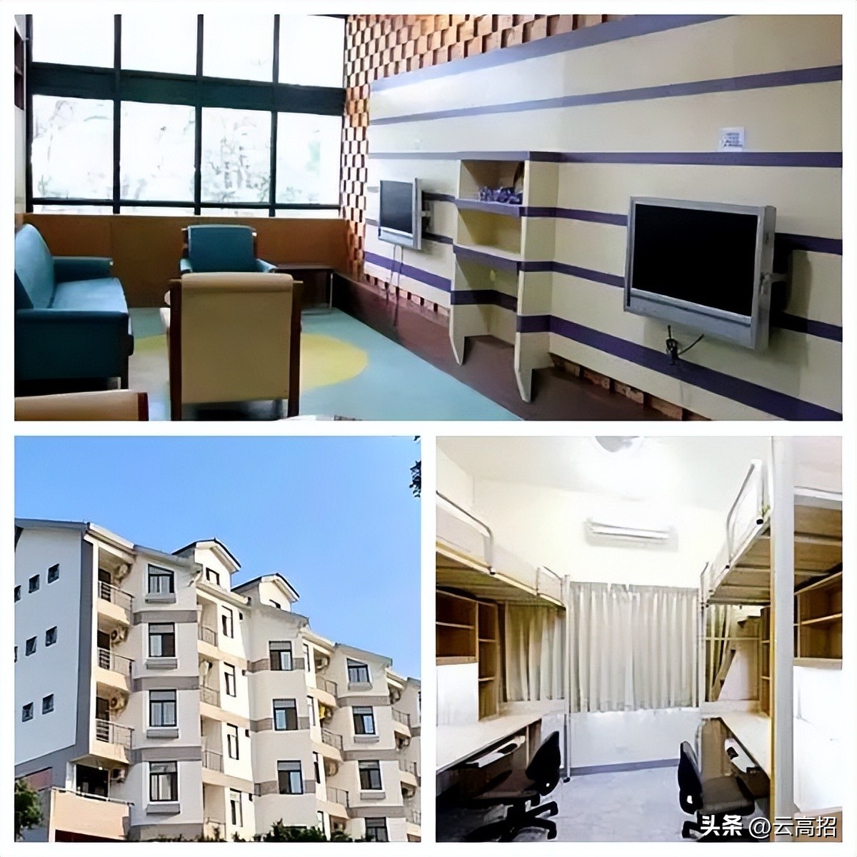 鍝簺澶у鐨勪綇瀹挎潯浠跺ソ,鍚勪釜澶у浣忓鏉′欢