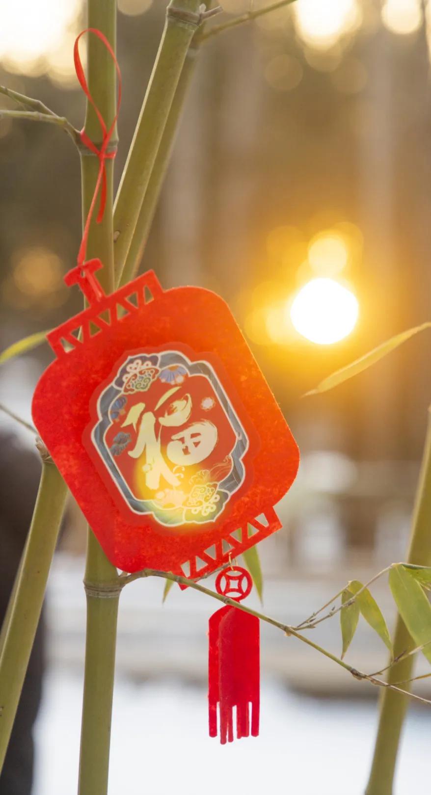 一汽大众开年活动,汉中一汽大众试乘试驾