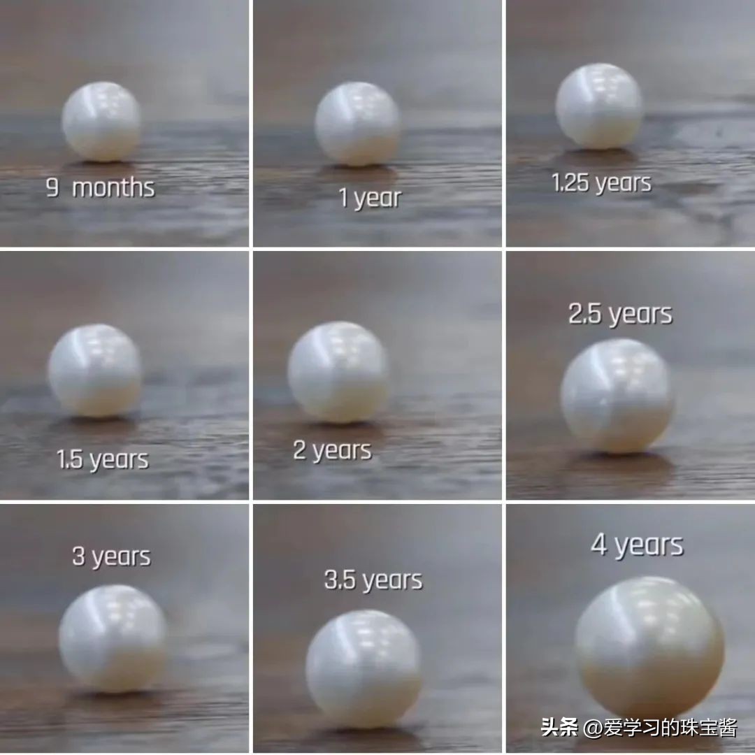 如果只能拥有一只包买什么类型,不是所有珍珠都叫澳白