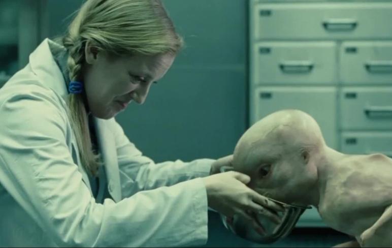 人类真的能杂交吗,人类动物能混血吗