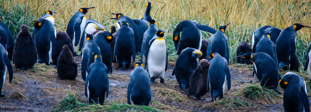 智利现状,智利基本情况