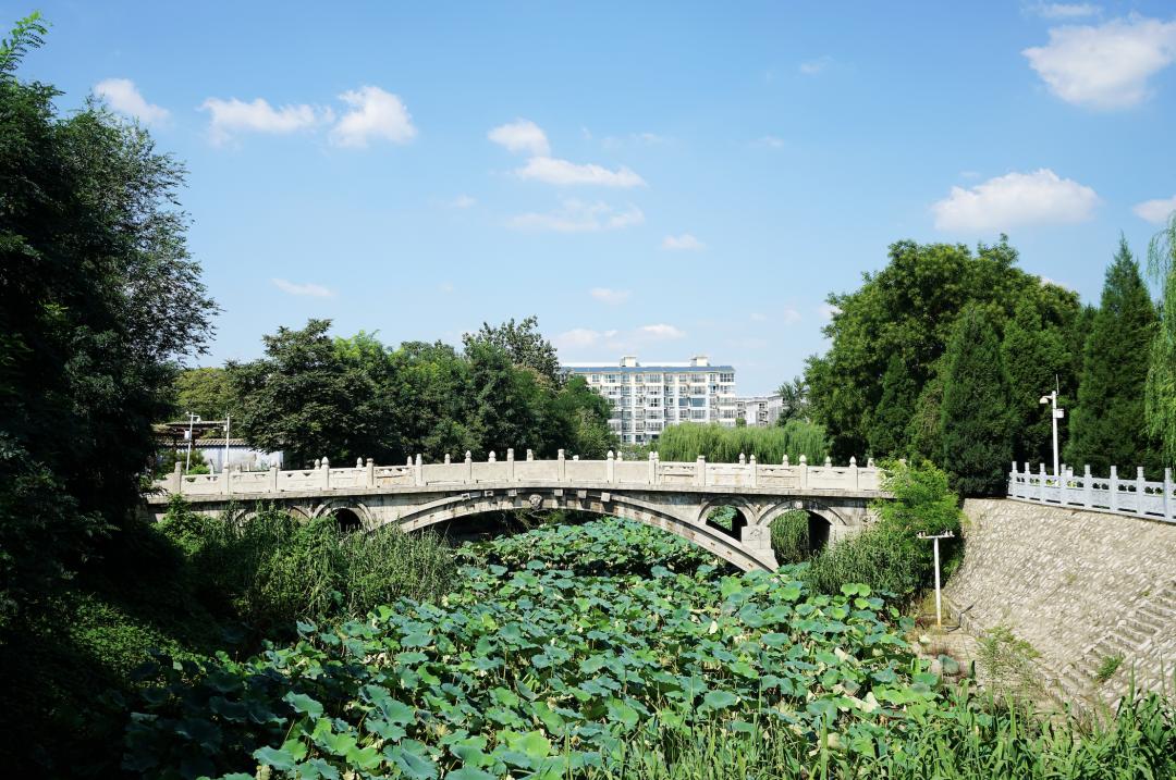 “5·19中国旅游日”｜清风入夏，打卡赵县这些景区吧～