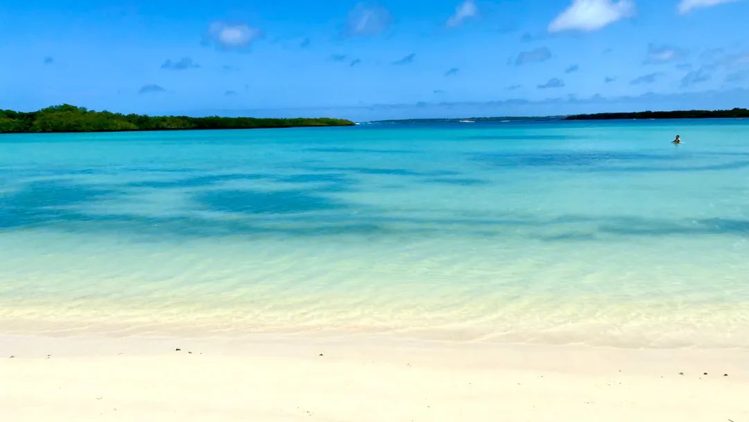 去神秘小岛探险,去神秘岛探险视频