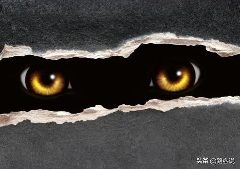 人类社会的本质是什么,人类社会本质是弱肉吗