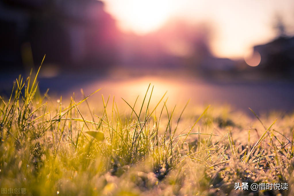 当你陷入困境的时候该怎么做,当你陷入困境时视频
