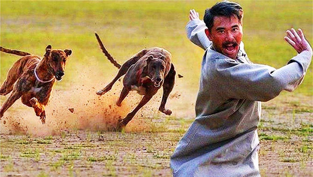 女童被狗咬伤后续狗主人,女童被大型犬咬伤原视频