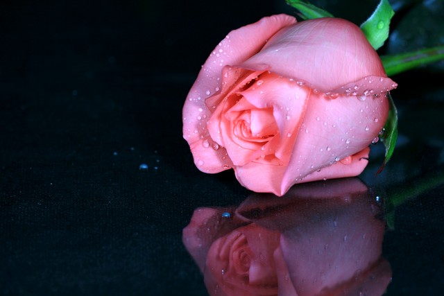 一个长期不换微信头像的男人,一直不换微信名字的人