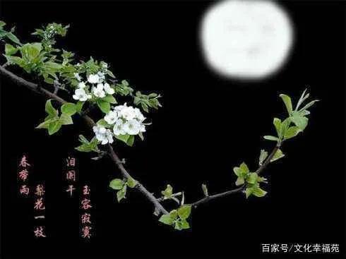 柳絮纷飞的古诗词,关于柳絮飞舞的古诗句