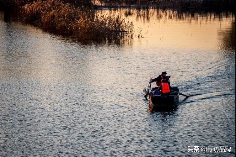 微山湖的晚霞,微山湖晚霞景色