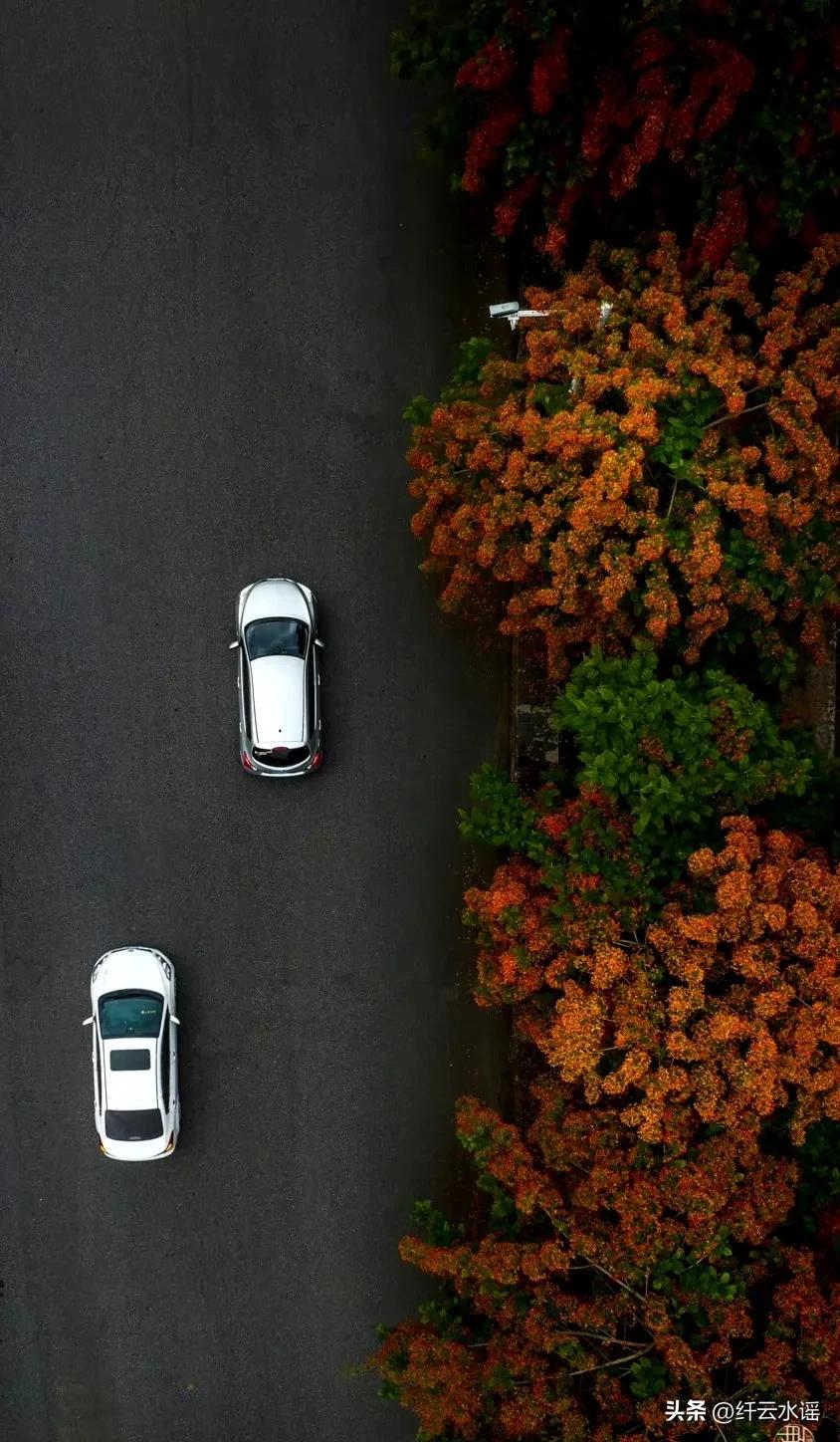 微头条写作方法和技巧,微头条的写作技巧