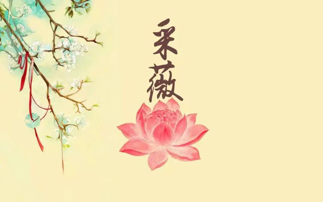 昔我往矣杨柳依依舞蹈视频,诗经昔我往矣杨柳依依视频