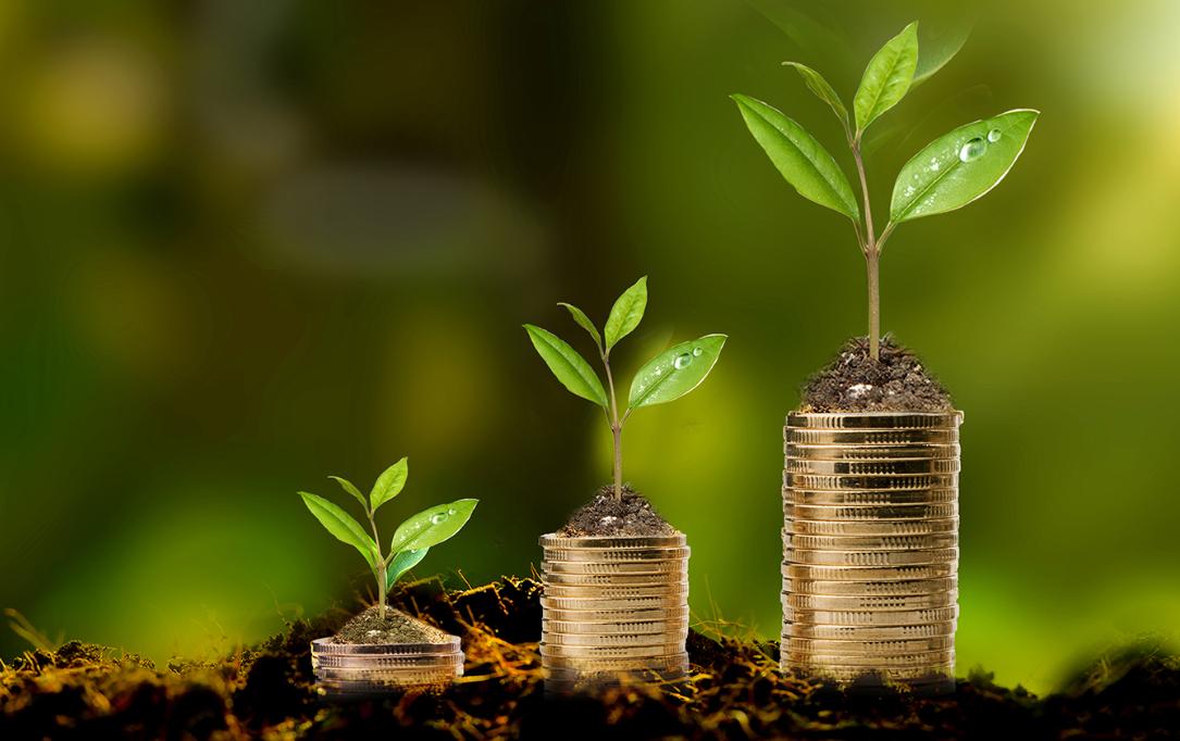 电商企业并购零售企业的动机,并购绩效分析