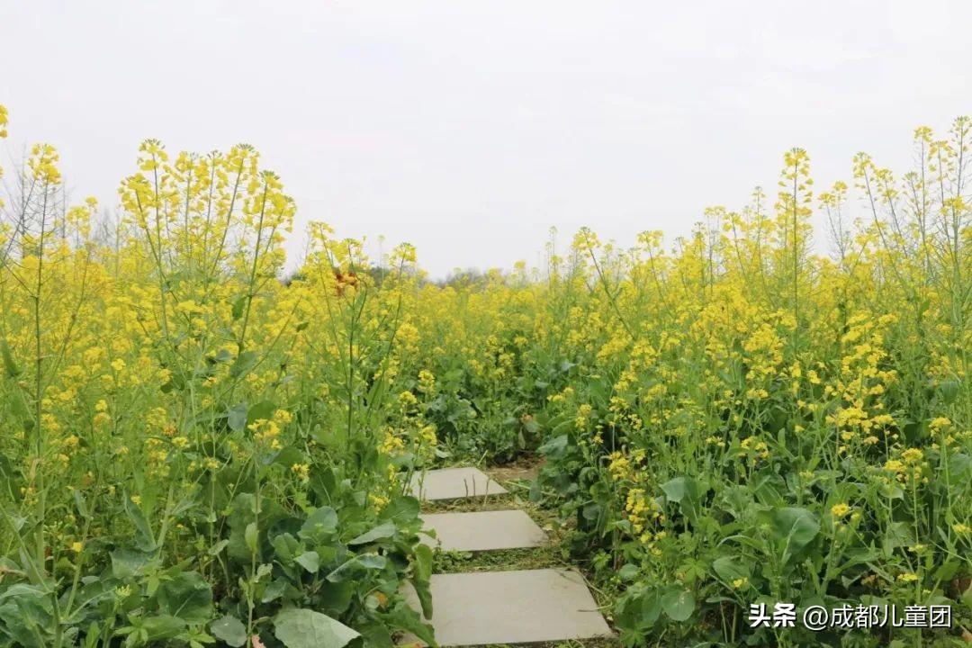 地铁3号线能到的美景地方,一号线地铁直达的风景