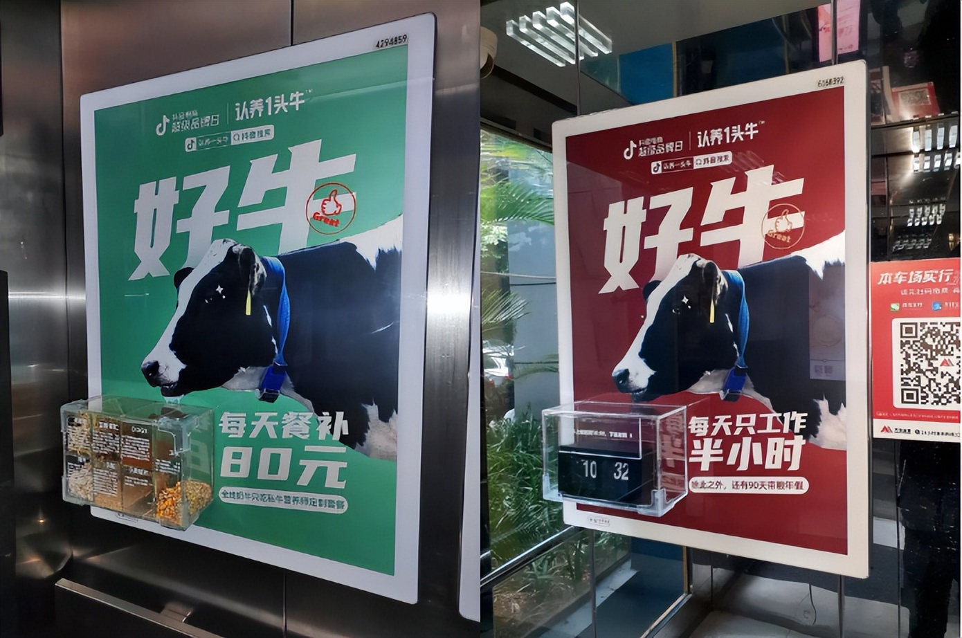 认养一头牛营销策略成功的原因,认养一头牛的创新发展之路