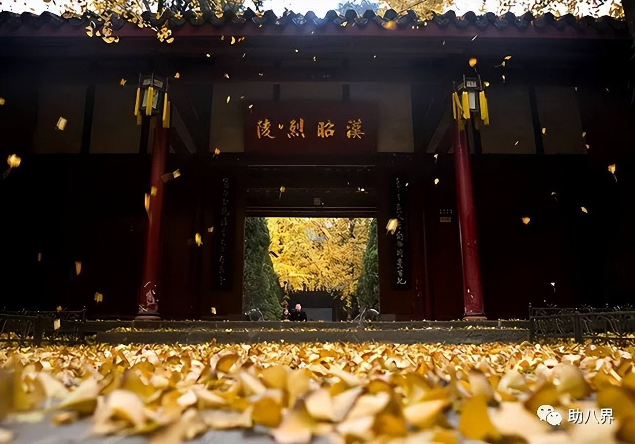 成都高新区景点打卡,成都网红桥打卡景点