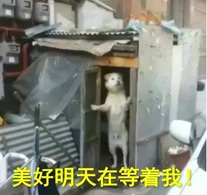 租房选到这层楼，人间第一冤大头