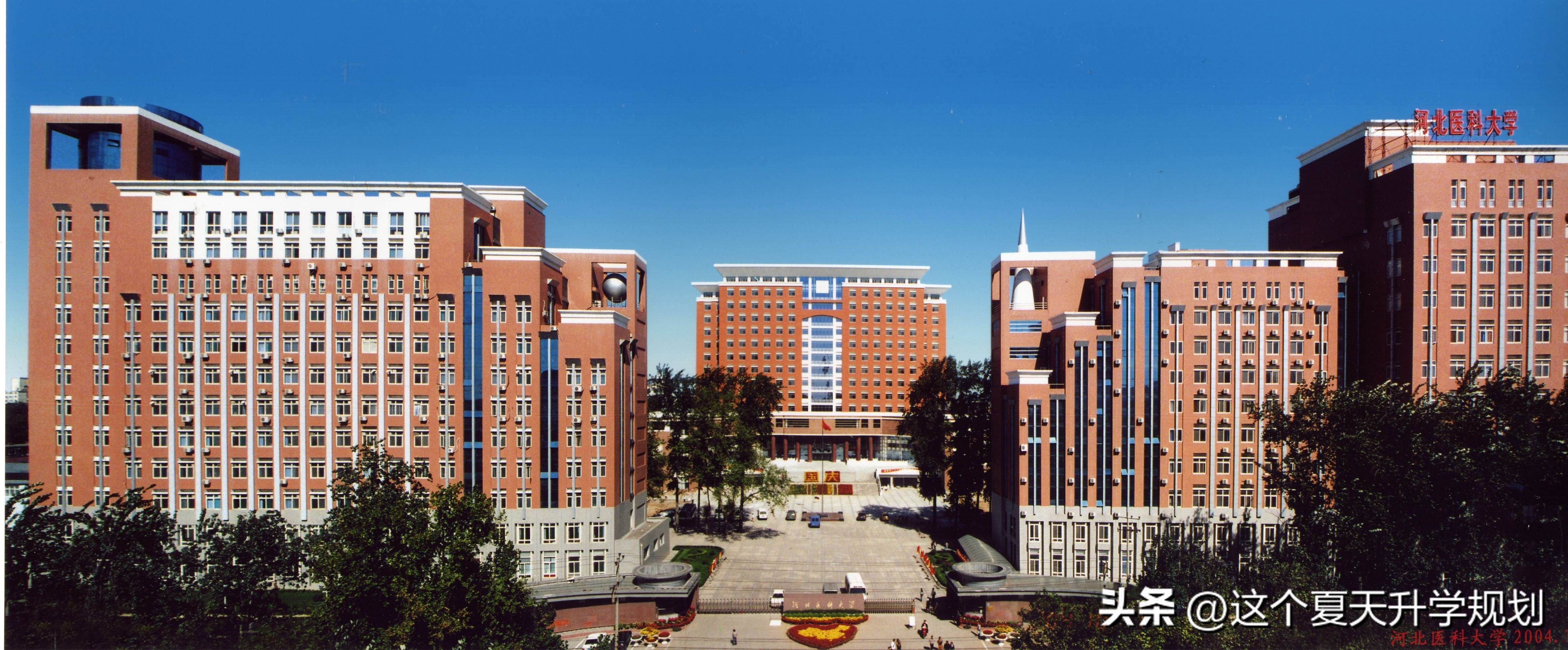 河北医科大学2023年专科分数线,河北医科大学2023各专业录取线