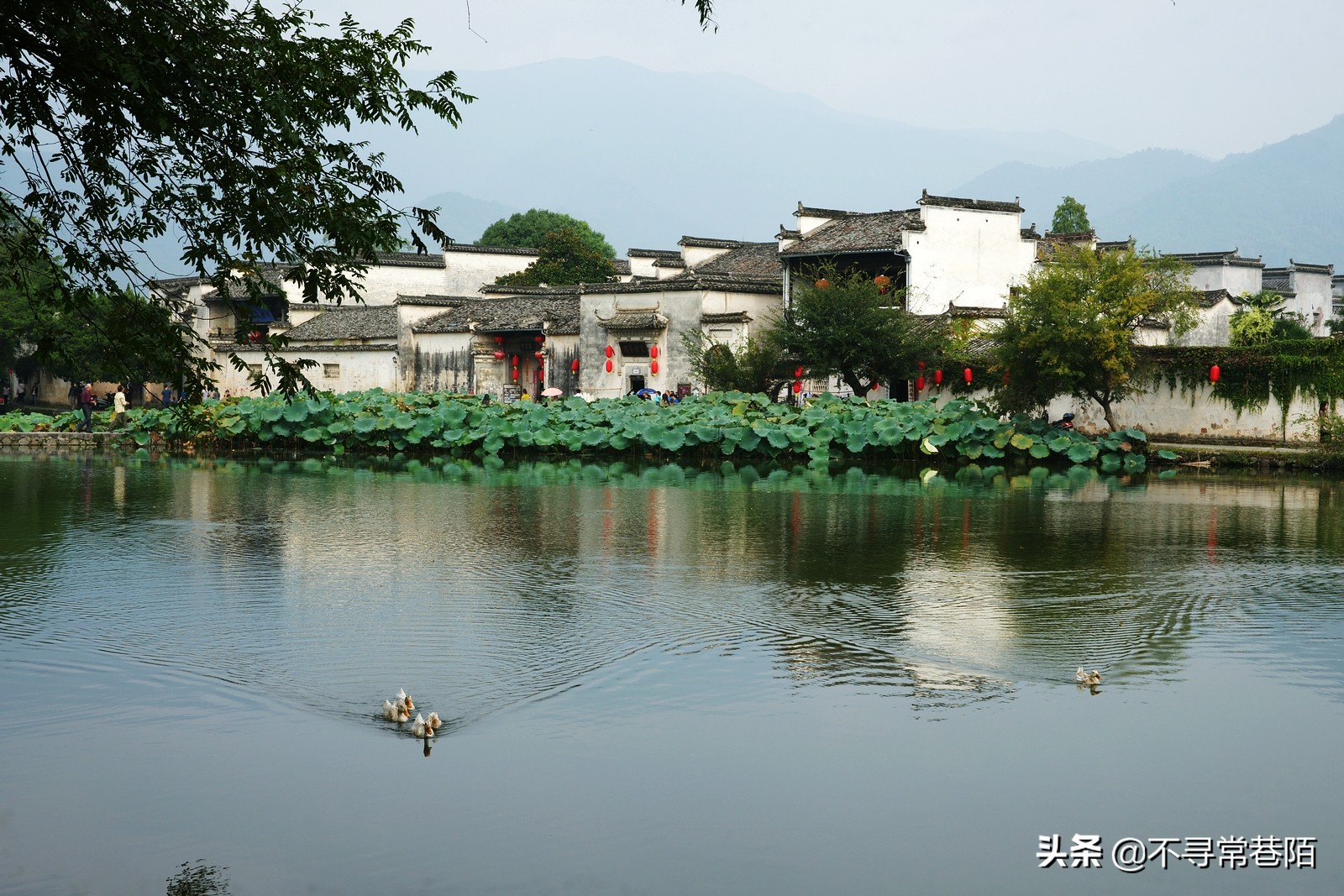 这里有许多历史悠久的古镇,从历史中走来的古镇