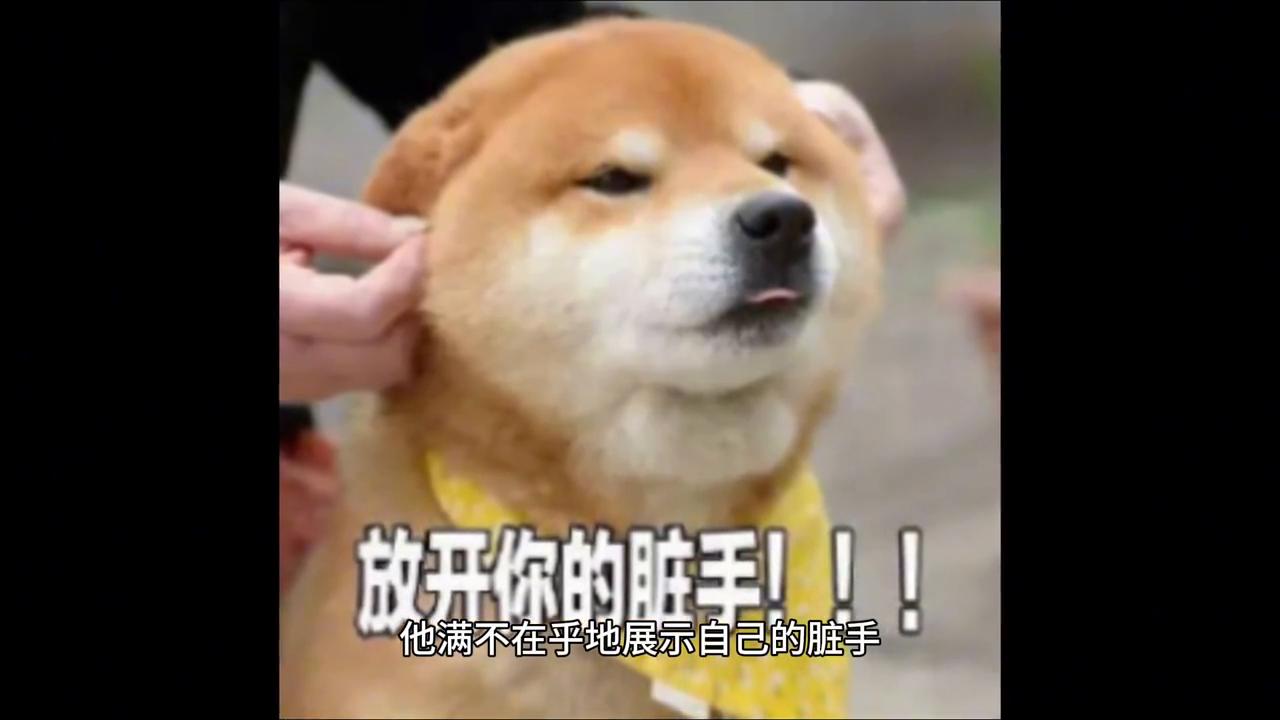 “烧鸟仙人”来上海烤鸡三天,东京第一烧鸟店