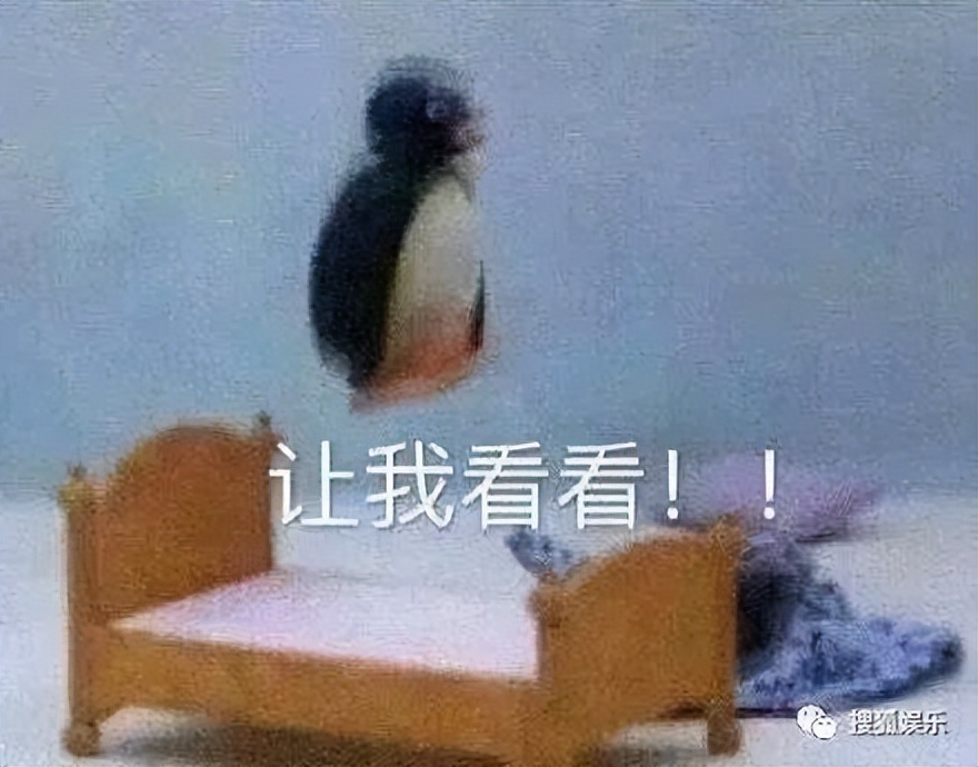 第三届金鹰奖,第三届金鹰女神视频