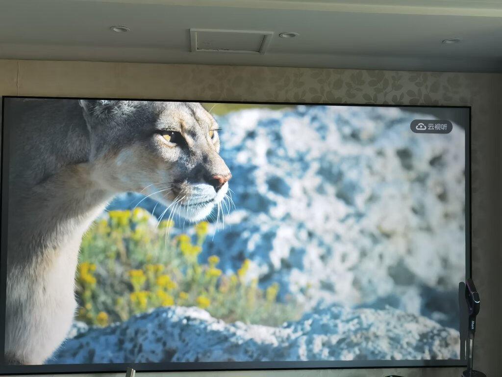 世界杯投影仪家用高清超清,推荐个能看世界杯的投影仪