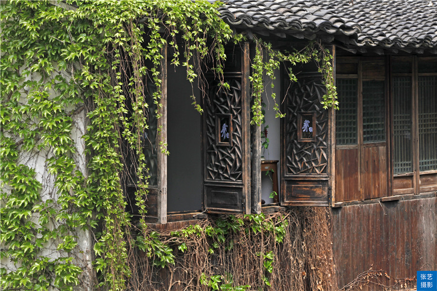 江南乌镇文化简介,中国江南十大名镇最新排名乌镇