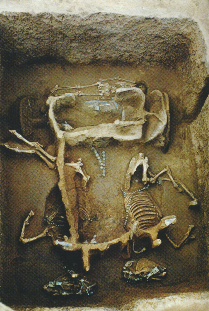 十大考古发现之山东,山东百年百项重要考古发现名录