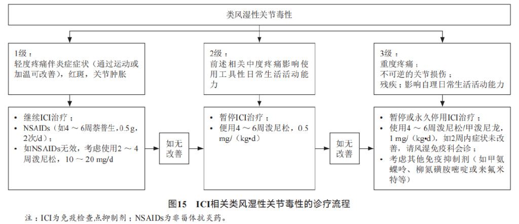 消化系统恶性肿瘤合理用药指南,胃肠道肿瘤免疫治疗前景