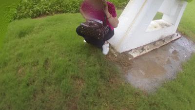 我被警察抓了我该怎么办,被警察抓我报警了