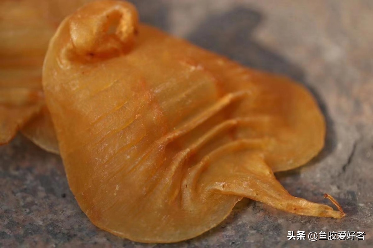 广东的鱼胶是不是智商税,吃鱼胶是交智商税吗