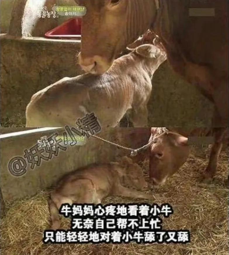 出生时没有肛门，有人却说要养他一辈子