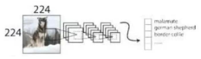 如何快速使用yolo,学习yolo之前要掌握什么知识