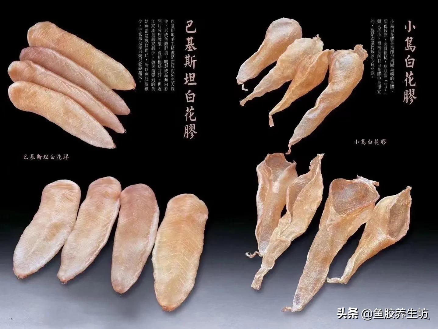 白花胶视频大全,白花胶的使用方法视频