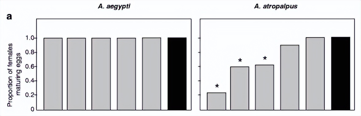 噬菌体侵染大肠杆菌实验细节,肉鸡用噬菌体